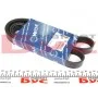 Ремінь генератора Fiat Ducato 2.2D/Ford Transit 2.2TDCI 06- (+AC) (6PK1670)