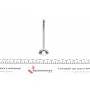 Клапан (випуск) VW Caddy III/Golf/Polo/Touran 1.2TSI 10-15 (30x6x98.4) (азотований)