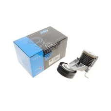 Натяжник ременя генератора Skoda Octavia/VW Golf 1.4/1.6 97-06 (металл.)