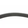 Ремінь генератора Ford Scorpio II 2.5TD 94-98/Toyota Camry 2.4i 06-11/Avensis 2.0 01-09