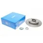 Диск гальмівний (задній) Citroen C3 09-/C4/Peugeot 307/207 04-/208 12- (249х9 (+ABS) (з підшипником)