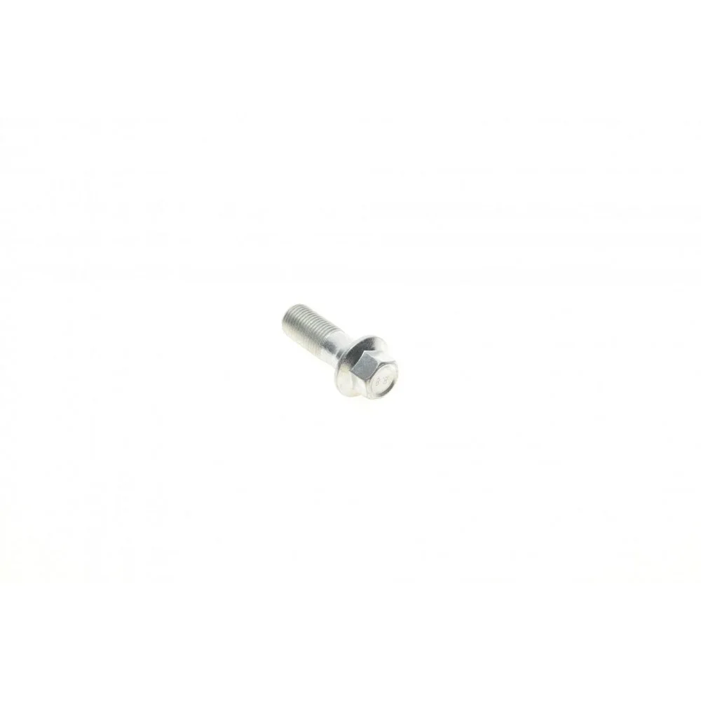 Болт Banjo (банжо) M10x1mm (11x37)