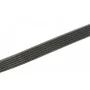 Ремінь генератора Citroen Jumper/Peugeot Boxer 2.0/2.2HDi 04- (-AC)/Opel Movano 2.5D (6PK875)