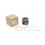 Поршень Renault Kangoo/Megane/Scenic 1.5dCi 09-