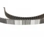 Комплект ГРМ + помпа Citroen Berlingo/Jumpy/Xsara/Peugeot 206/Expert/Partner 2.0HDI 98-11 (25x141z)