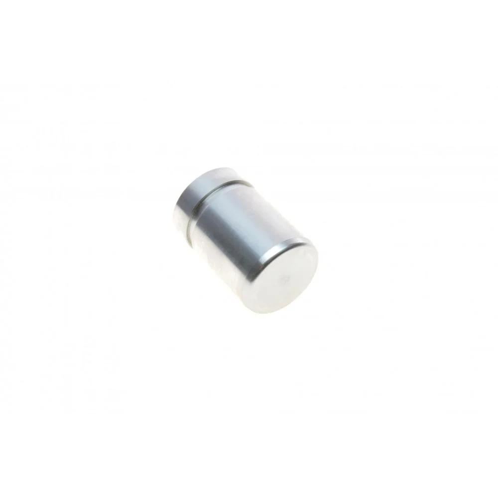 Поршень супорта (заднього) Toyota Rav4 /Yaris 00-05 (32x47mm)