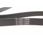Ремінь генератора BMW X5 (E70) 4.8i 07-08/Renault Master/Opel Movano 2.3 dCi/CDTI 10- (7PK1666)
