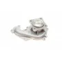 Комплект ГРМ + помпа Ford Focus 98-12/Transit Connect 1.8Di/1.8TDCi 02-13 (91x20)(помпа P237)