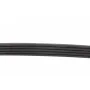 Ремінь генератора Honda Accord 2.0 EX -97/ Honda Legend 3.5 96-97/ Toyota Echo 1.4 D-4D 01-05