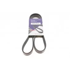Ремінь генератора Ford Focus 1.8/2.0 04-12 (6PK1249)