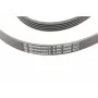 Ремінь генератора BMW 3 (E46)/5 (E39)/7 (E38)/X5 (E53) 3.0D 98-05 (5PK2060)