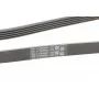 Ремінь генератора BMW 3 (E46)/5 (E39)/7 (E38)/X5 (E53) 3.0D 98-05 (5PK2060)