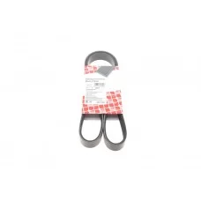 Ремінь генератора Fiat Ducato/Citroen Jumper 1.9D/TD 94-/Renault Trafic 2.5dCI 03- (6PK1153)