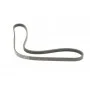 Ремінь генератора Renault Mascott 99-05/Iveco Daily 99-06/Mazda 323 89-96/MX-3 93-98 (4PK1015)
