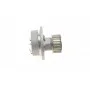 Комплект ГРМ + помпа Opel Astra F/Vectra B 1.4/1.6 16V 94-05(169x20)(помпа P317)