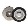 Натяжник ременя генератора Fiat Bravo 1.6-2.0D/Opel Signum 1.9CDTI 04-