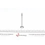 Клапан (випуск) Audi A4/A6/Skoda Superb/VW Passat 2.5TDI 02-05 (24.1x6x100.5) (азотування)
