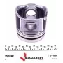 Поршень Renault Trafic/Master/Opel Vivaro 2.5CDTi (89.00mm/STD)