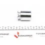 Поршень супорта (заднього) Citroen C4/Toyota Avensis 06- (38x50.35mm) (Bosch)