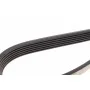 Ремінь генератора Citroen Jumper/Fiat Ducato/Peugeot Boxer 2.0/2.2HDi/JTD 02-