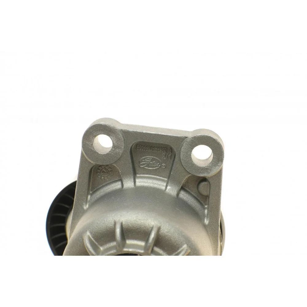 Натяжник ременя генератора Citroen C4/C5/Peugeot Expert 2.0 HDi 09-