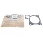 Прокладка помпи води Citroen Jumper/Fiat Ducato/Peugeot Boxer 3.0 HDi 06-