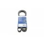 Ремінь генератора поліклиновий Peugeot 206/406/806/Expert/Fiat Scudo/Citroen C5/C8/Jumpy 1.9D/2.0HDI 95-