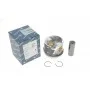 Поршень VW Crafter 2.5TDI 100/120kw 06-13 (81.01mm/STD)