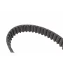 Комплект ГРМ + помпа Citroen/Peugeot 2.0HDI 99-06/Fiat Scudo/Ducato 2.0JTD 01-06 (141x25.4) (PA747)