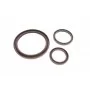 Комплект прокладок (нижній) Nissan Navara/Pathfinder 2.5 dCi 01-
