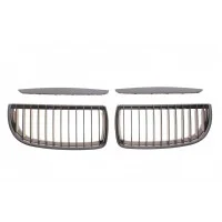 Решітка радіатора BMW 3 (E90) 04-08 (к-кт)