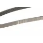 Ремінь генератора Opel Astra 1.7CDTi 03-/Renault Megane/Laguna 1.9-3.0 97-03/BMW 1 (E81/E87) 04-11