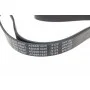 Ремінь генератора Opel Astra 1.7CDTI 04-10/ Subaru Outback/ Tribeca 3.0-3.6 05-/ VW Passat 3.2 05-10