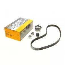 Комплект ГРМ Mazda 2/Ford Fiesta/Focus/Volvo S40/V50 1.25i-1.6 16V 95- (22x117z)