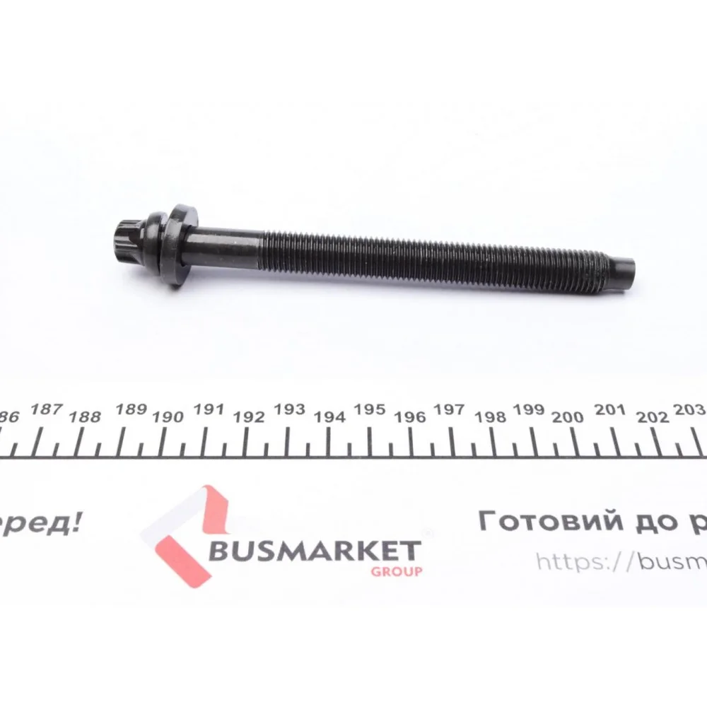 Болти головки (к-кт 10шт.) Citroen Berlingo 2.0HDI 99-06