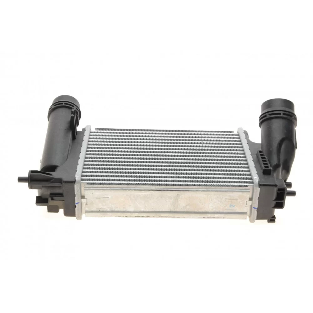 Радіатор інтеркулера Nissan Qashqai/X-Trail/Renault Megane IV/Scenic IV 1.6D 13-