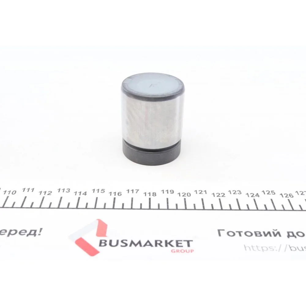 Поршень супорта (заднього) BMW 3 (E46) 2.5/3.0d 00-05 (40x48mm) (Ate)