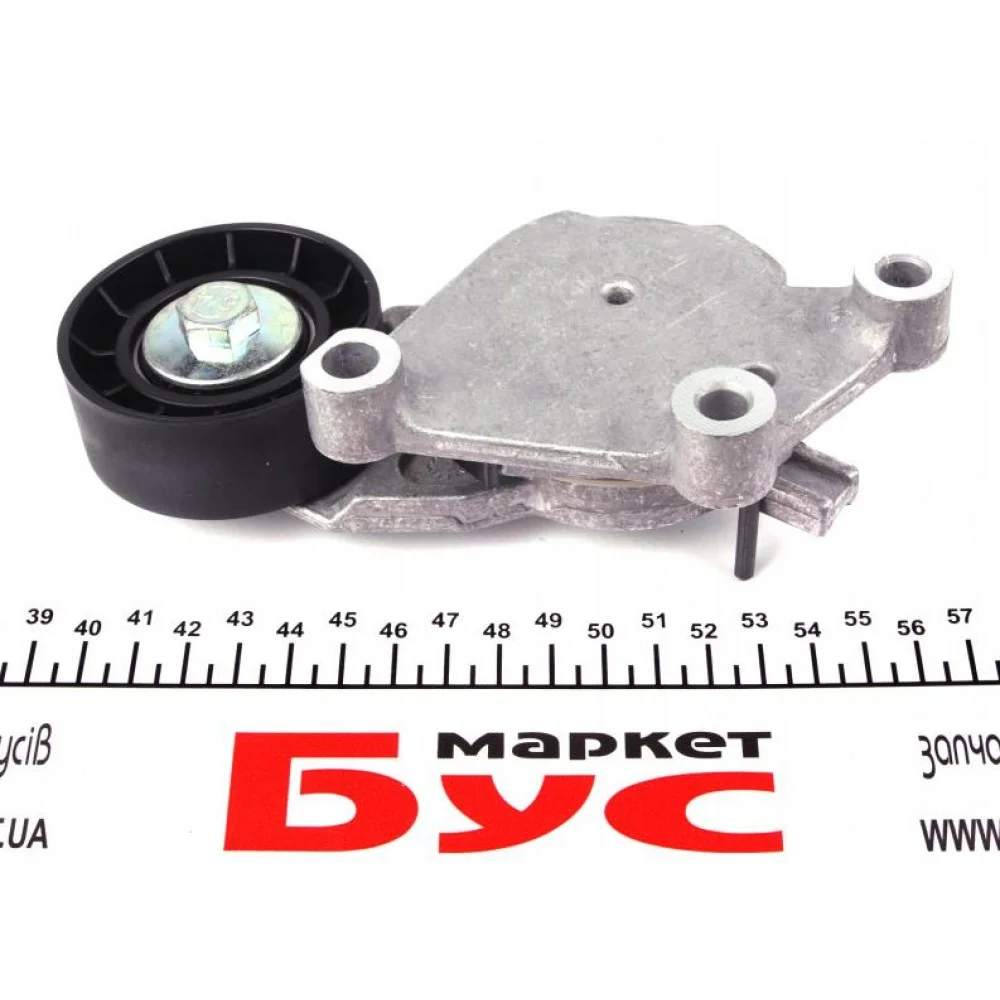 Натяжник ременя генератора Citroen/Peugeot/Ford 1.4HDi/1.6TDCi 01-