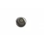 Поршень супорта (заднього) Audi A6/VW Passat/Sharan 04- (41x52mm) (TRW)