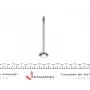 Клапан (випуск) Audi A4/A6/VW Passat 2.5TDI 97-05 (24x6x100.5) (азотований)