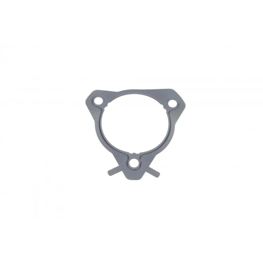 Прокладка насосу паливного Ford Connect 1.8Di/TDCI 02-