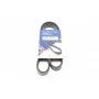 Ремінь генератора VW Polo/Up 11-/Skoda Fabia 14-/Seat Ibiza 1.0/1.6 15- (6PK989)