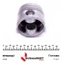 Поршень Renault Kangoo 1.9D 97- (80.01mm/STD)