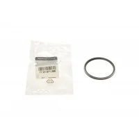 Прокладка патрубка інтеркулера ущільнююча Renault Megane/Scenic/Duster 1.5-2.0dCi 03-