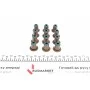Сальник клапана (випуск) BMW (к-кт) N52/N53/N55