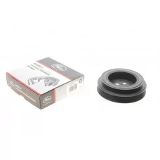 Шків колінвалу Fiat Ducato/Ford Transit/Citroen Jumper/Peugeot Boxer 2.2 D/TDCi/HDi (162х12,5) 06-
