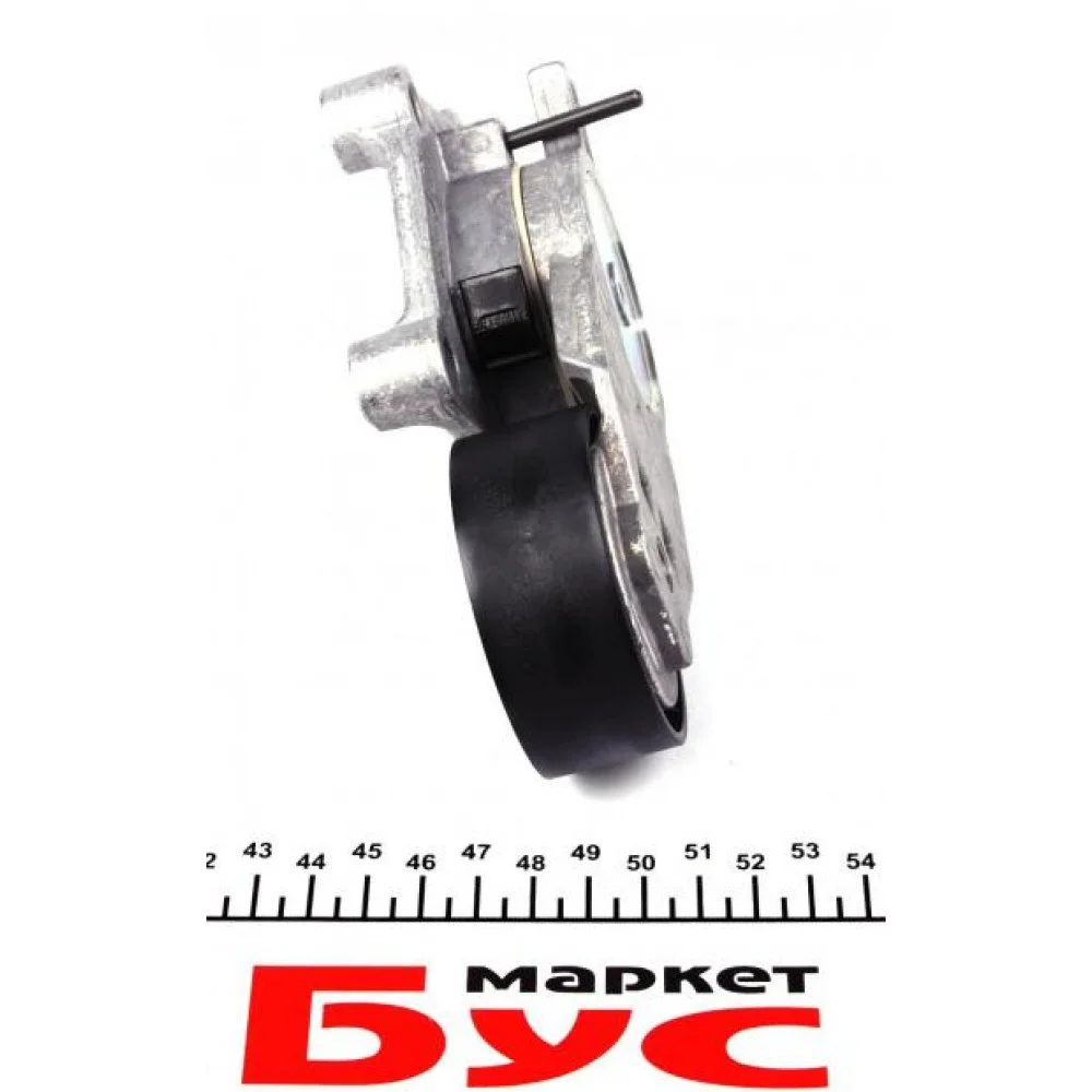 Натяжник ременя генератора Citroen/Peugeot/Ford 1.4HDi/1.6TDCi 01-