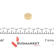 Заглушка блоку циліндрів (d=21mm) Латунь/Brass