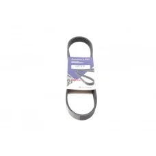 Ремінь генератора Citroen Berlingo/Jumper/Jumpy/Fiat Ducato/Scudo/Peugeot Boxer/Expert (6PK722)