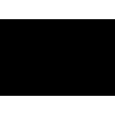 Ремінь генератора Citroen GS/Daewoo Tigo/Land Rover Discovery I/Peugeot 305 II/505 78-00 (10х613)